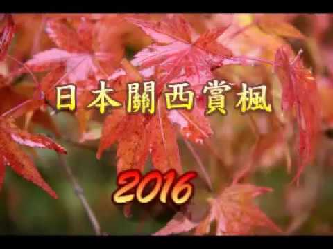 2016日本關溪賞楓之一(奈良)