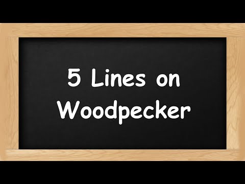 Woodpecker Short 5 Lines in English || 5 Lines Essay on Woodpecker