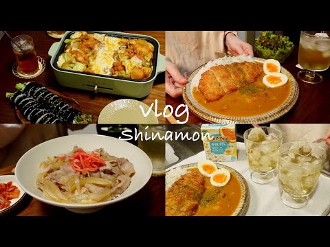 【食事vlog】余裕がある時の平日４日間の晩ごはん🍛🍴｜新しい食器｜チキンカツカレー、豚丼、プルコギキンパ、チーズタッカルビ、ロゼパスタ｜自炊記録