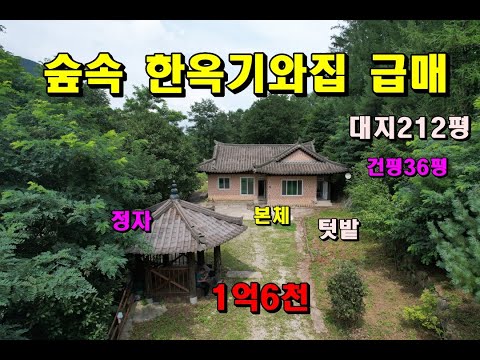 (급매)숲속의 한옥기와집이 아주싸게 나왔습니다/마을에서 살짝 숨어있는 단독공간/정선한옥집/정선부동산매매/정선전원주택매매