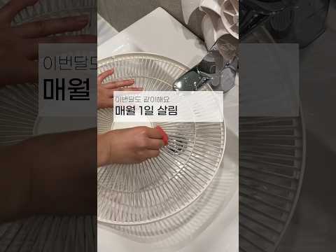 매월 1일 살림 청소 한달 살림루틴 청소루틴 꿀팁