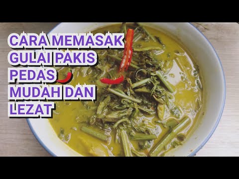 RESEP MEMASAK GULAI PAKIS PEDAS DAN LEZATT #Resepbundatina