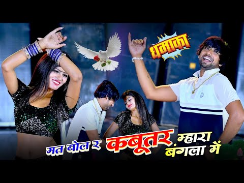 मत बोल र कबुतर मारा जंगला म ll सिंगर शंकर बिधूड़ी ~ Rajsthani Hit Song #viral #trend #dancer