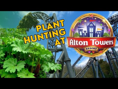 Exploring Exotic Wonders at Alton Towers Resort: Uncovering Rare & Unusual Tropical Plants!