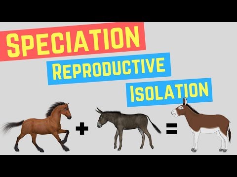 Speciation | Prezygotic vs Postzygoic Barriers | Forms of Reproductive Isolation