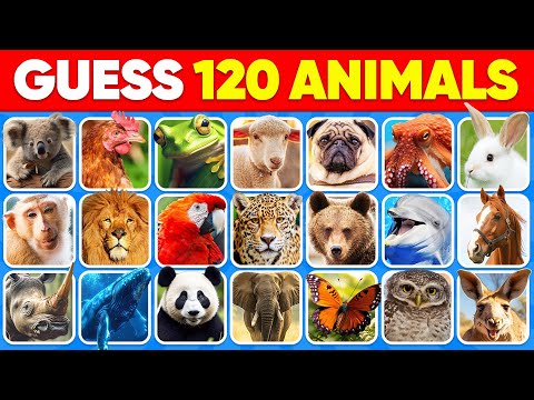 Guess 120 Animals in 3 Seconds | Easy, Medium, Hard, Impossible 🐶🐱 Daily Quiz