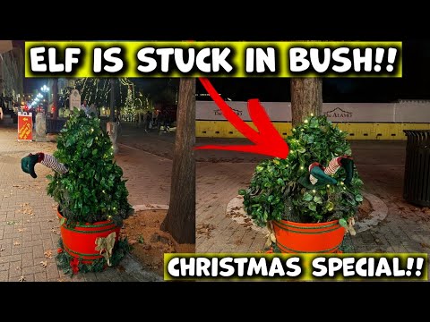 Bushman Prank: CHRISTMAS SCREAMS 2021!!