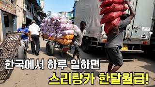 정치 불안이 스리랑카 경제를 거덜 나게 했습니다. [스리랑카 1편 콜롬보]