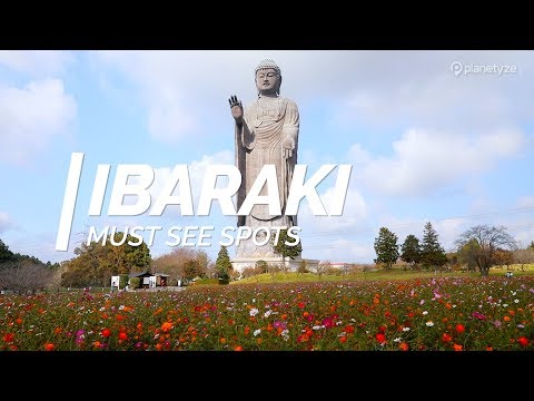 All about Ibaraki - Must see spots in Ibaraki | Japan Travel Guide