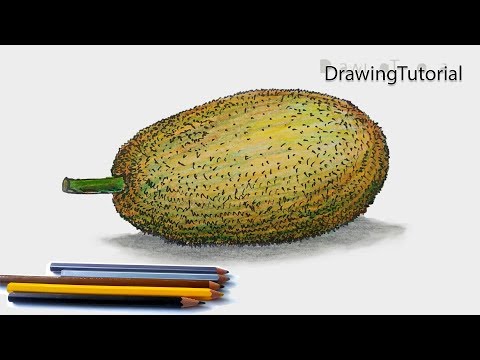 How to Draw Jackfruit Step by Step (Very Easy)