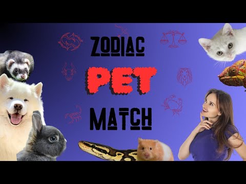 Which Pet Is Perfect for Your Zodiac Sign? Unbelievable Matches You Won't Expect!