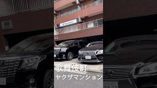 歌舞伎町ヤクザマンションのアルファードとレクサス #shorts #ヤクザ #暴力団 #住吉会 #アルファード #yakuza