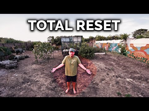 I'm Rebuilding My Entire Garden From Scratch...