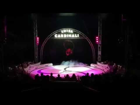 Aerial Hoop Ring Circus Act Elegant Spin Danger Sexy Entertainment