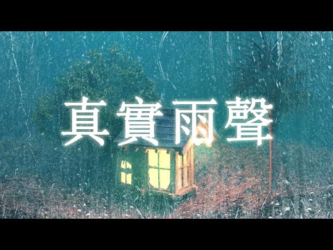 【真實雨聲】屋簷雨聲，體驗真實大自然下雨聲，幫助睡眠，提高睡眠質量