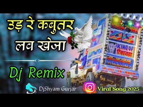 उड़ रे कबुतर लव खेजा Dj Remix || Udar Kabootar Love Kheja Dj Remix Song || Instagram Viral Song 2025