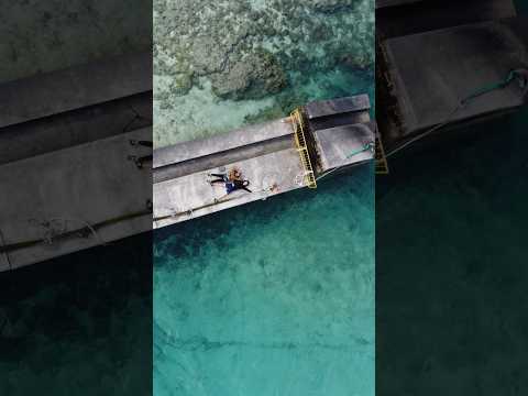 【日本絶景】与論島の海のきれいなこと☺️#与論島#海#日本絶景#観光#絶景#shorts