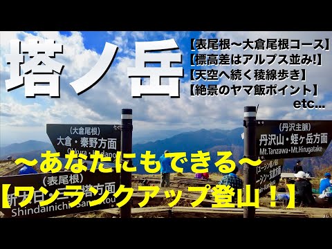 【塔ノ岳】あなたの体力はどのくらい？標高差はアルプス登山並み？ワンランクアップ！のオススメ日帰り絶景稜線歩きへ（関東百名山）