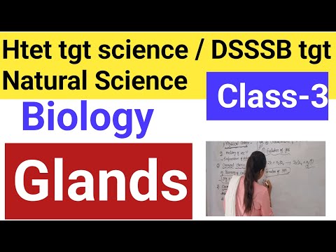 Htet tgt science ||DSSSB Natural Science 2024| Glands( part-3)