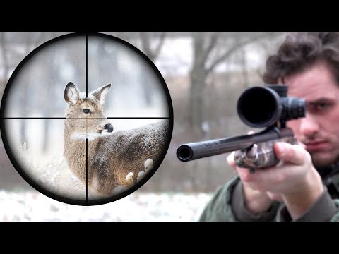 Sniping Deer with 350 Legend! (HEADSHOT)