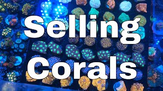 Do You Really Want To Sell Corals?