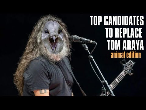 TOP 10 ANIMALS TO REPLACE TOM ARAYA