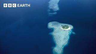 The Mysterious Islands of the South Pacific | BBC Earth