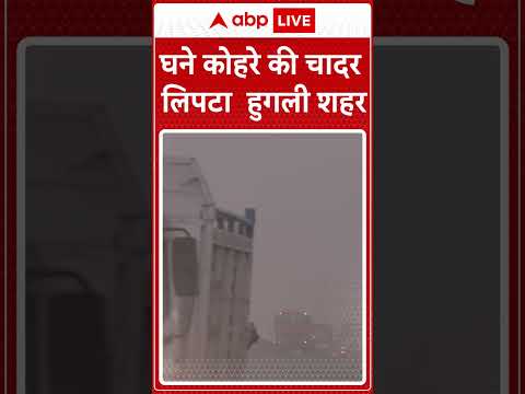 Weather Updates: घने कोहरे की चादर में लिपटा हुगली शहर #abpnewsshorts