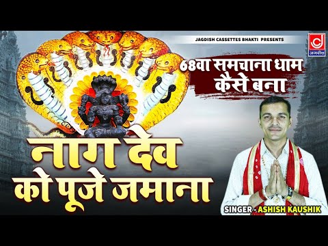 समचाना धाम कैसे बना |नाग देव को पूजे जमाना|Samchana Dham Ki Kahani|#nagraja |Ashish Kaushik Samchana