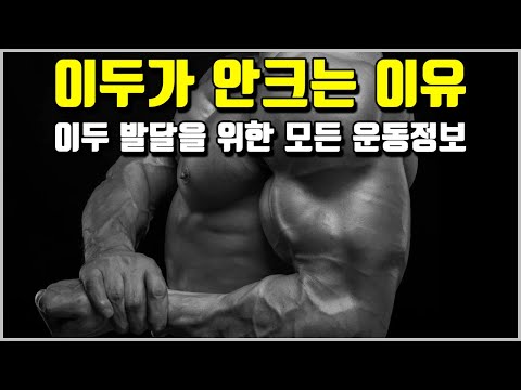 이두 운동의 모든 운동 정보[영상 한편으로 이두 기능 마스터 가능]