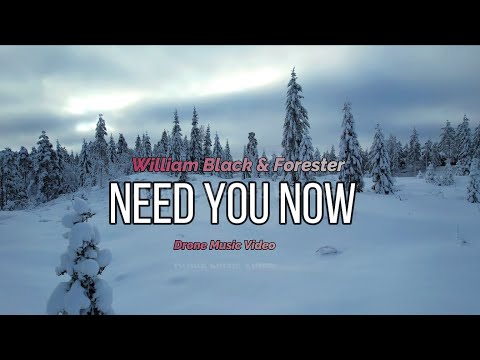 William Black & Forester - Need You Now (Drone Music Video)