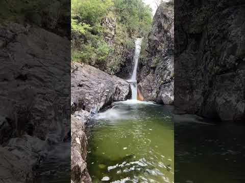 😂 #waterfalls #explorevictoria #mtbuffalo