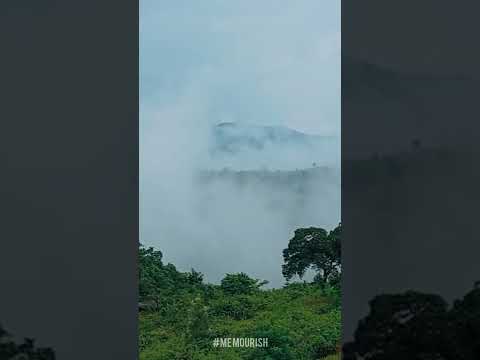 #araku #nature #trending #shorts