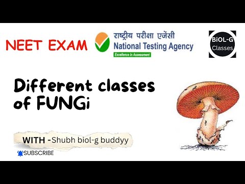 Fungi different classes in chart form #neetexam #ncertbiology #nta #biology #neet2025 #education