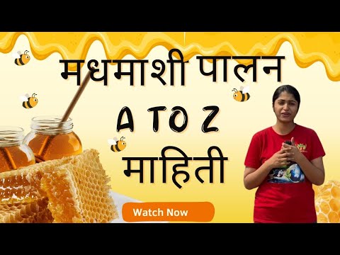 Bee Farming A to Z Information in Marathi