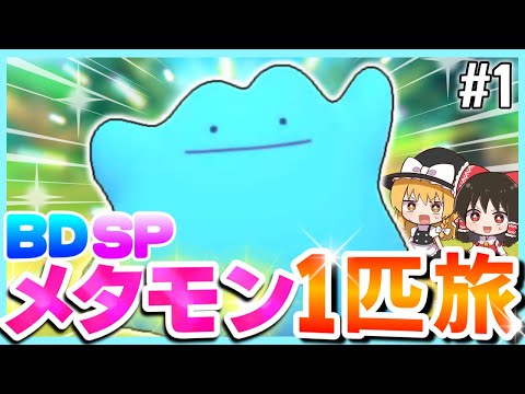 【BDSP】メタモン1匹縛りで殿堂入りを目指す旅 #1【ポケモン】【ゆっくり実況】【色違い】