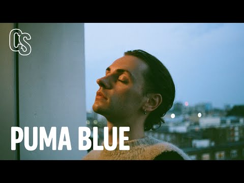 Puma Blue - Silk Print - CARDINAL SESSIONS