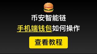 3个支持币安智能链的手机端钱包使用教程，BEP2转换BEP20演示，BurgerSwap汉堡后续更新，流动性挖矿，投票，抵押获得Burger。DeFi系列视频，BNB价格突破新高。（第176期）