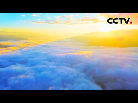 宛若仙境！奔赴一场限定云海，邂逅冬日梦幻 | CCTV