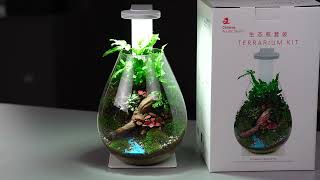 Unboxing Chihiros Terrarium Kit Chihiros magnetic light APP My chihiros