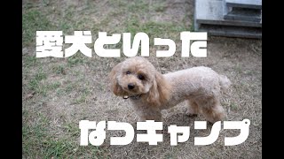 【休日キャンプ】愛犬といった夏キャンプは最高でした／ウッドパル飛駒