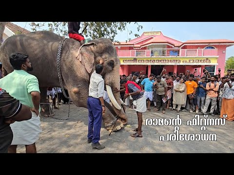 Thechikottukavu Ramachandran fitness test  ഫിറ്റ്നസ് പരിശോധനക്കായി രാമൻ @edathirinjipooyam2025