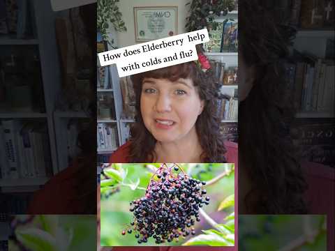 Does Elderberry help with colds and flu?