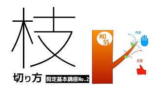 【剪定基本講座No.2】枝の剪定方法【庭木の剪定】