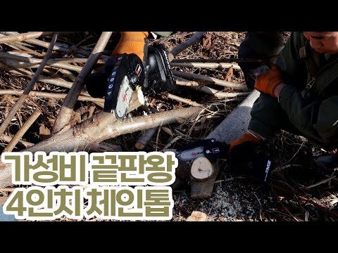 신년 선물입니다. 4인치톱 받아가세요!