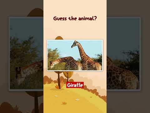 Want to Become an ANIMAL EXPERT? Watch This QUIZ Now! #wildlife #triviaadventure #animalfacts