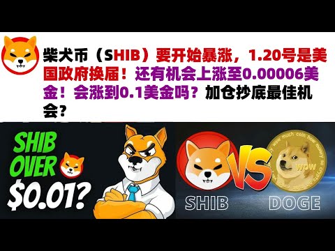 柴犬币（SHIB）要开始暴涨，1.20号是美国政府换届！还有机会上涨至0.00006美金！会涨到0.1美金吗？加仓抄底最佳机会？#shib币#柴犬币#屎币行情分析