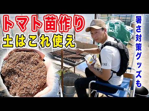 夏野菜の苗作り方法【トマト】土が大事！種まき専用の土で生育に差をつける　これからの暑さ対策も【水冷服ダイレクトクール】