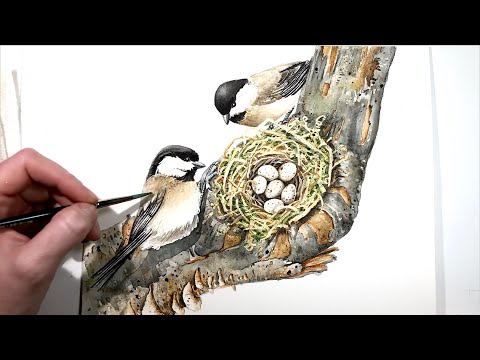 Watercolor Painting of the Chickadee Family by Tracy Lizotte