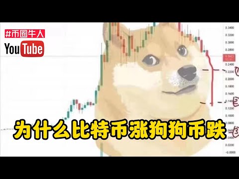 為什麼比特幣漲狗狗幣跌 Why Bitcoin Rise and Dogecoin Fall